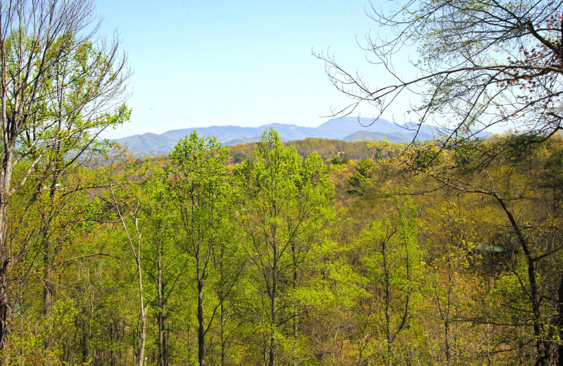 View from American Patriot Getaways - Makin' Honey.