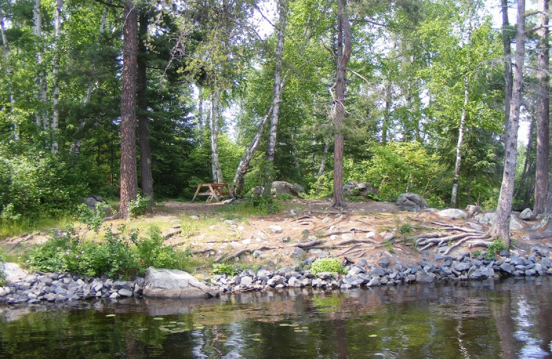 Lake view at Kinsey Houseboats.