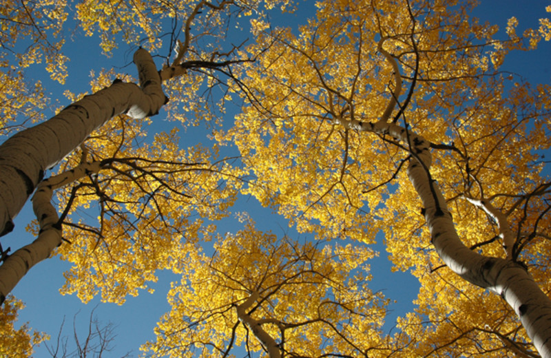 Natural beauty at Latigo Ranch