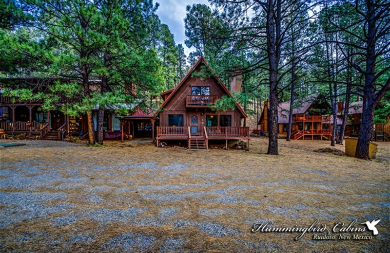 Exterior view of Hummingbird Cabins - Timberline Townhouse Vacation Rental