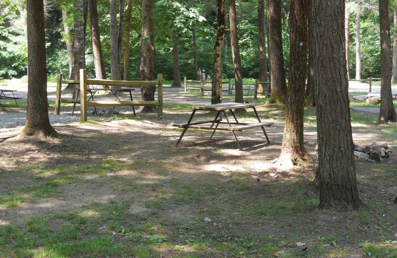 Campsite at Yogi Bear's Jellystone Resort Cherokee.