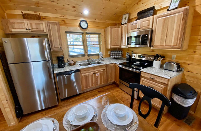 Cabin kitchen at Little Valley Mountain Resort.