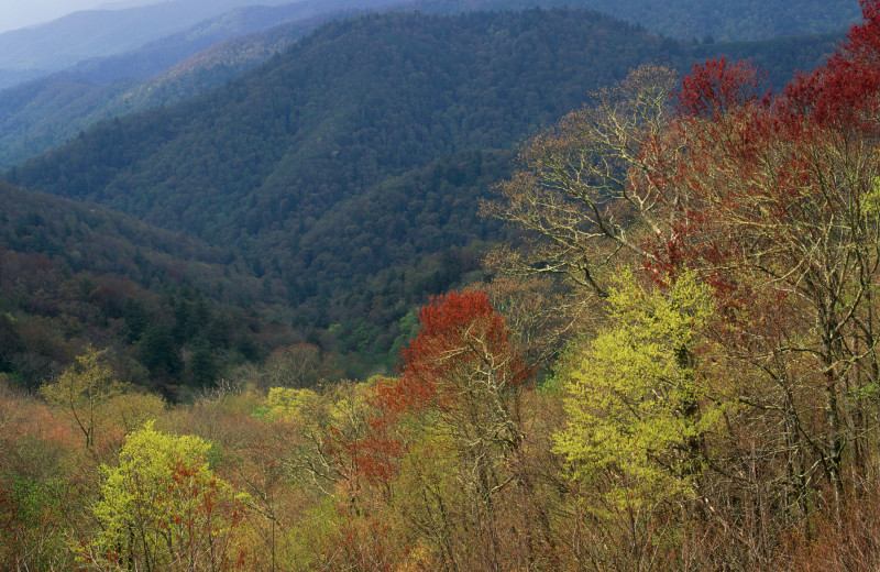 Mountains near The River House.