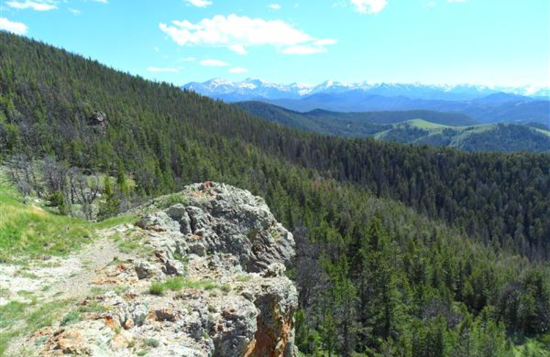 Area Surrounding Bill Cody Ranch