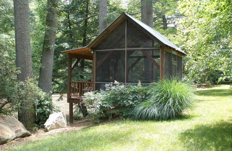 Screened Deck located on the banks of the Toccoa River