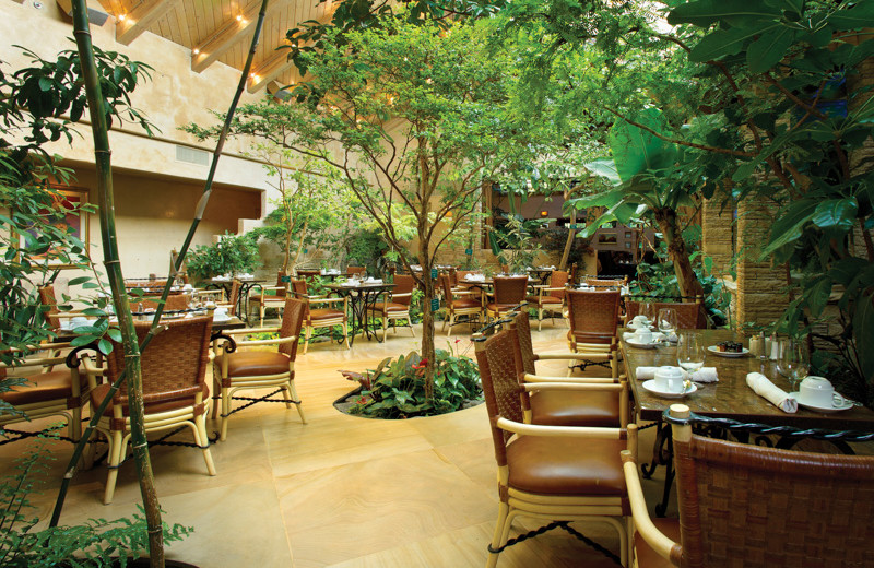 Patio dining at El Monte Sagrado.