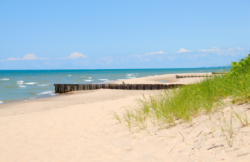 Warren Dunes State Park  near SpringHill Suites - Benton Harbor.