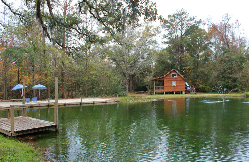 Lake view at Berry Creek Cabins.