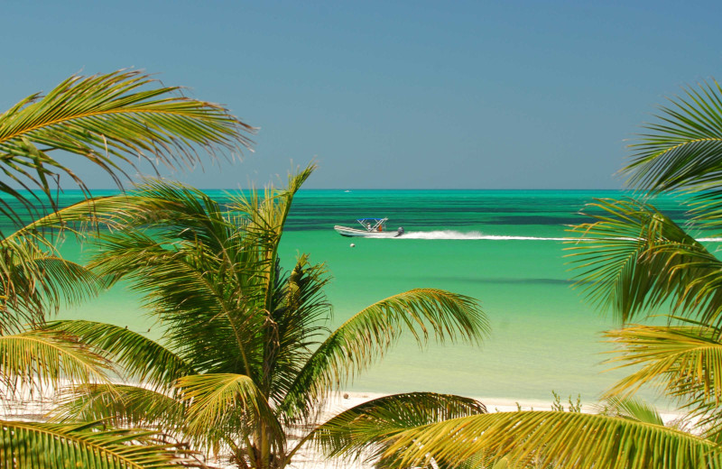 Beach at Isla Holbox Fly Fishing Lodge.