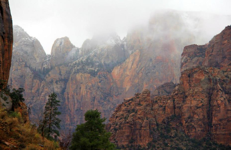 Zion National Park near The Inn at St. George.