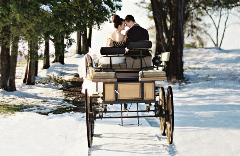 Wedding couple on carriage at Salamander Resort & Spa.