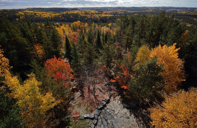 Forest colors at Olive the Lake.