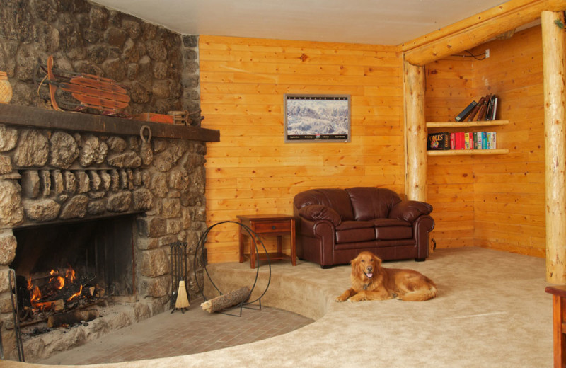 Pets welcome at The Wayside Inn.