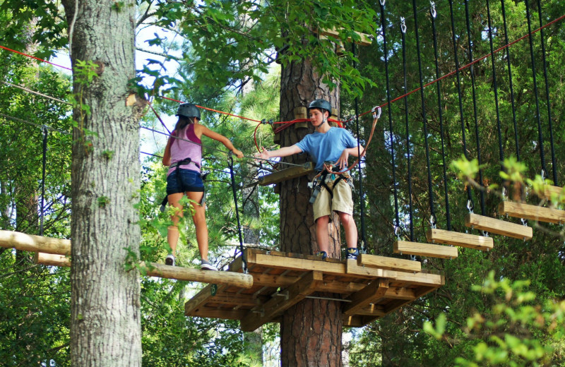 Treetop Adventures at Callaway Gardens.