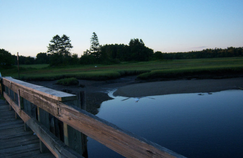 Nature walk near Maine Stay Inn & Cottages.