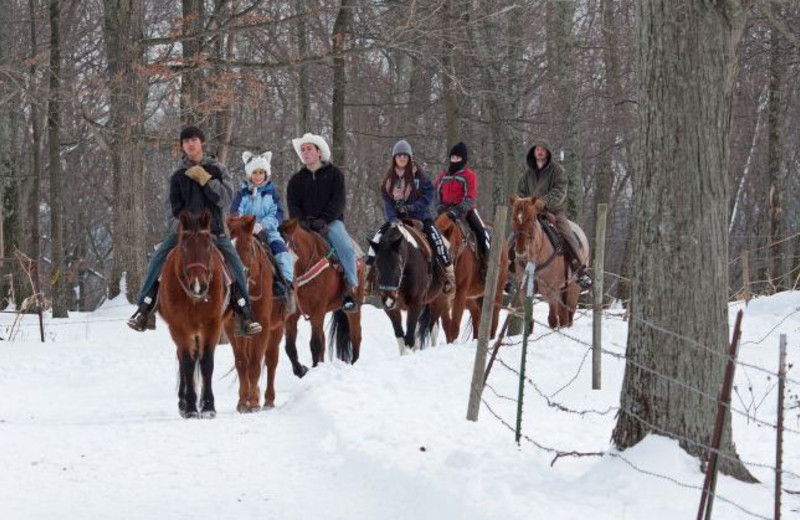 Horseback Riding at Malibu Dude Ranch