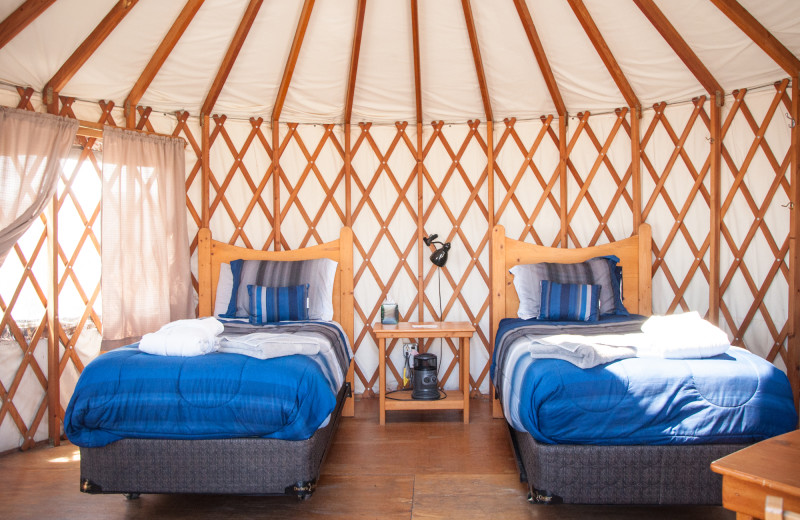 Yurt interior at Joyful Journey Hot Springs Spa.