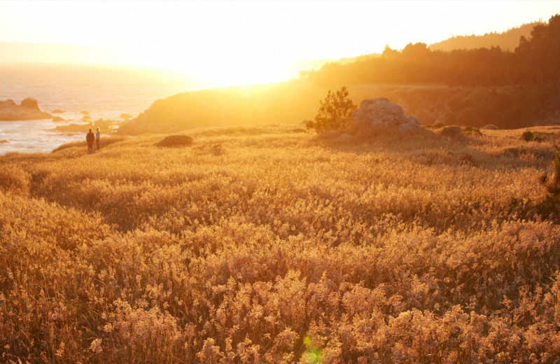 Sunset at Timber Cove Inn.