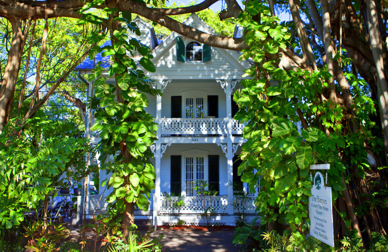 Exterior view of The Banyan Resort.