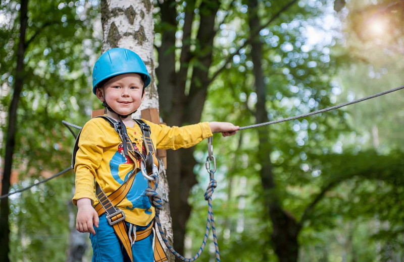 Zip line at Stony Brook Cabins LLC.