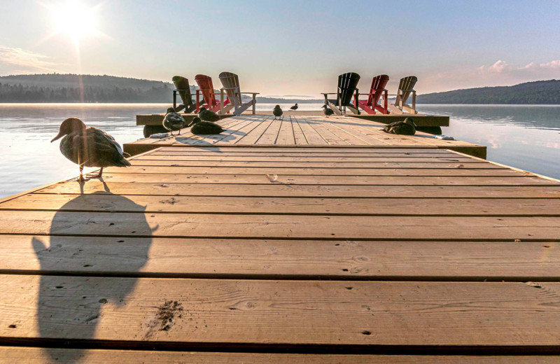 Dock at Killarney Lodge in Algonquin Park.