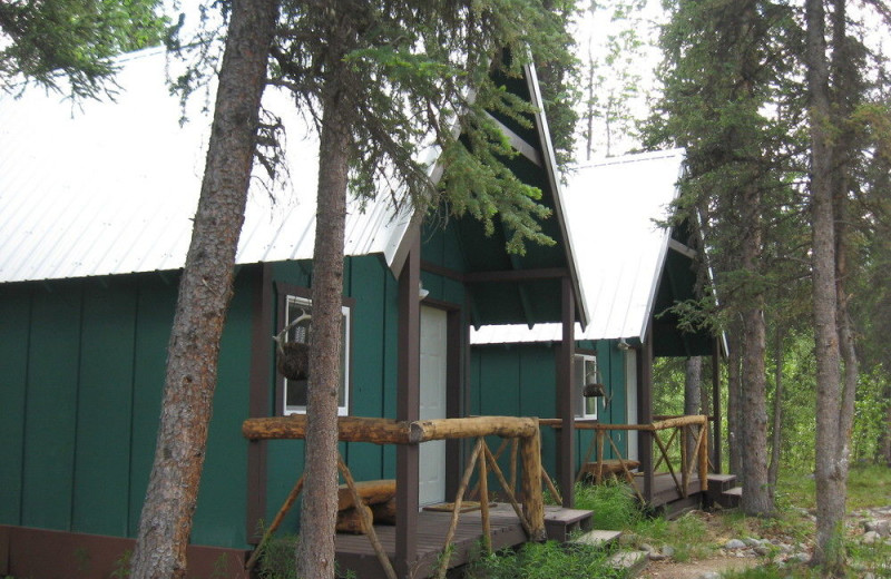 Cabin exterior at Denali Perch Resort.