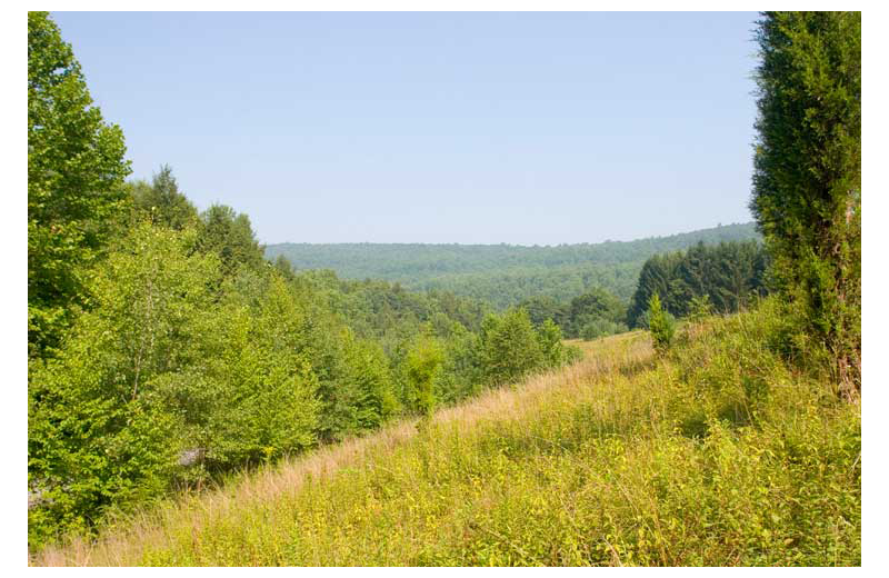 View from Cabins-4-Rent.