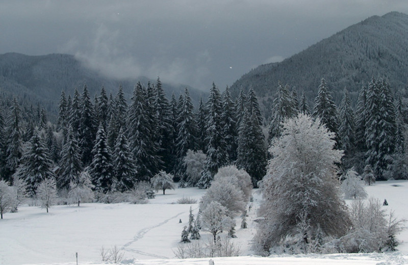 Winter skiing at The Resort at the Mountain.