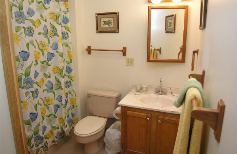 Vacation rental bathroom at Timberline Herzwoods and Northwoods Resort.