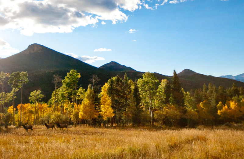 Mountains at Wind River Ranch.