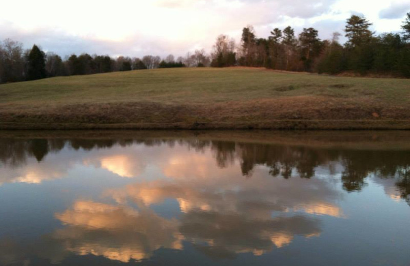 View from Dahlonega Spa Resort.