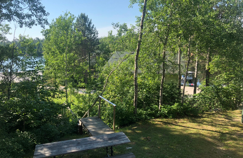 Cabin view at Dogtooth Lake Resort.