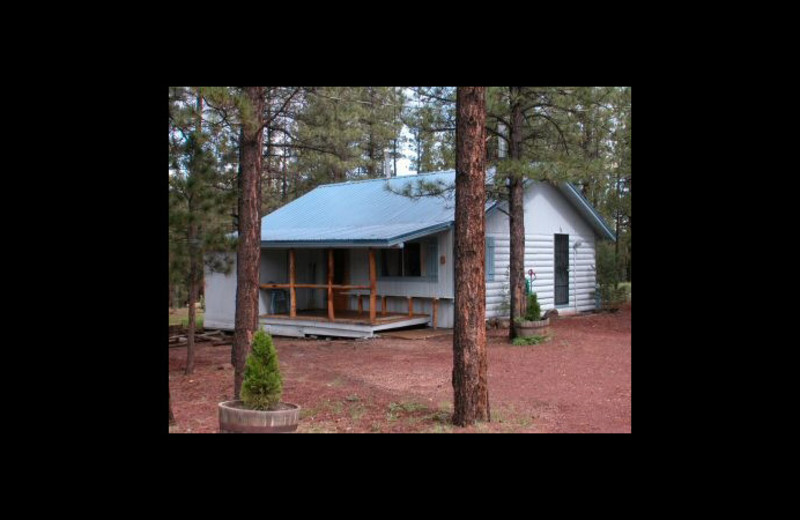 Cabin exterior at Greer Mountain Resort.