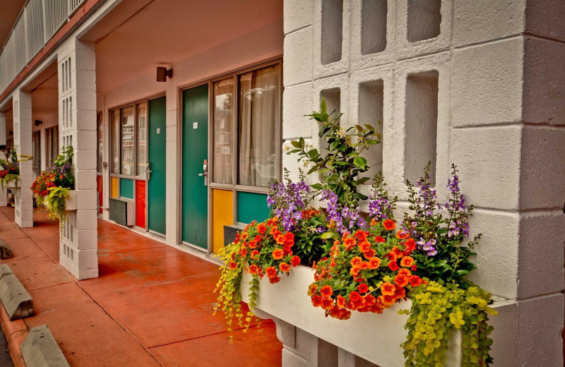 Exterior view of The Thunderbird Inn.