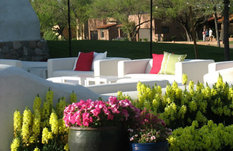 Outdoor sitting area at Tubac Golf Resort.