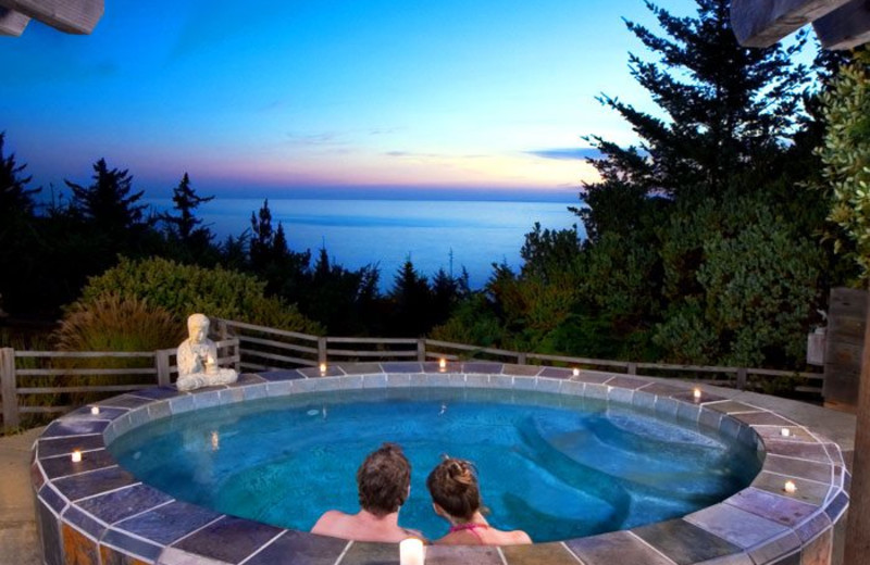 Relax in the hot tub at WildSpring Guest Habitat.