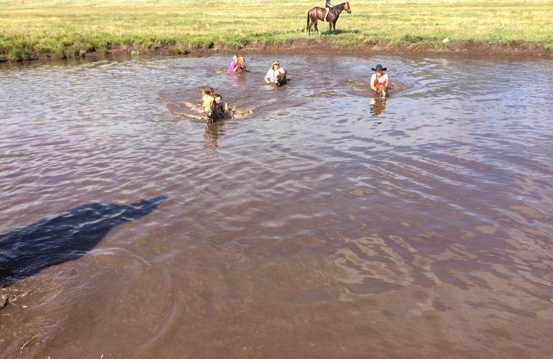 Summertime swimming, ranch-style