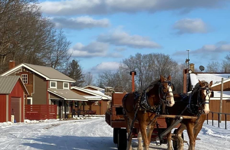 Wagon ride at Ranch Rudolf.