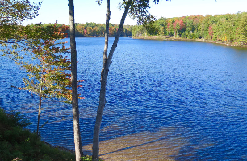 Lake view at Sleeping Bear Resort.