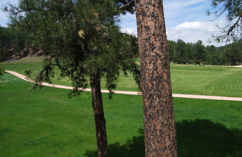 Yard view of Newton Fork Ranch.