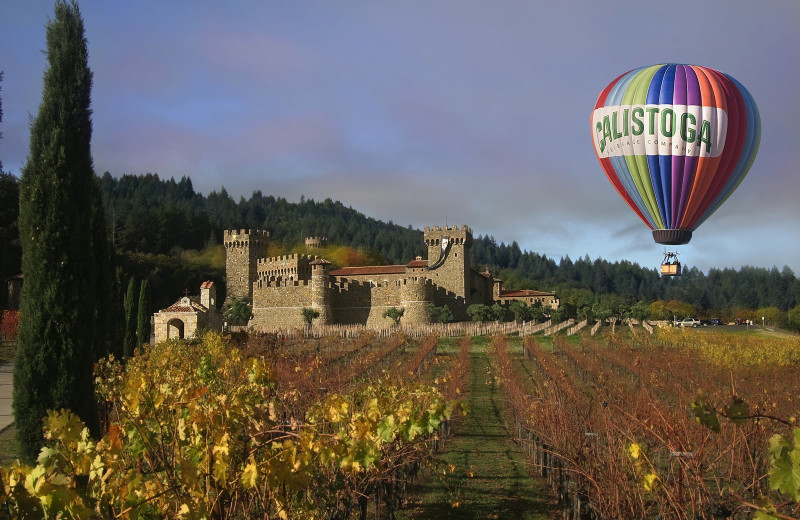 Hot air balloon at Cottage Grove Inn.