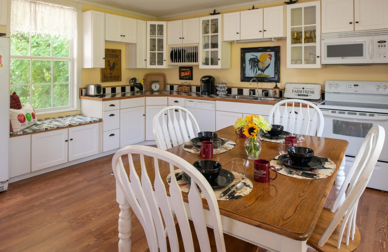 Kitchen at Orchard House Bed & Breakfast.