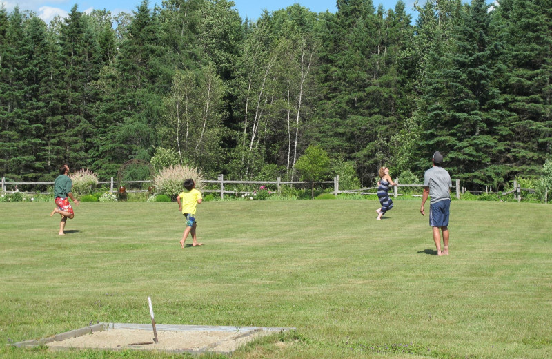 Family games at Jackson's Lodge and Log Cabins.