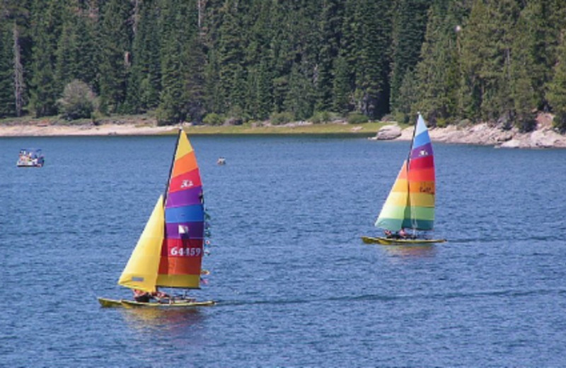 Bucks Lake Lodge (Quincy, CA) Resort Reviews