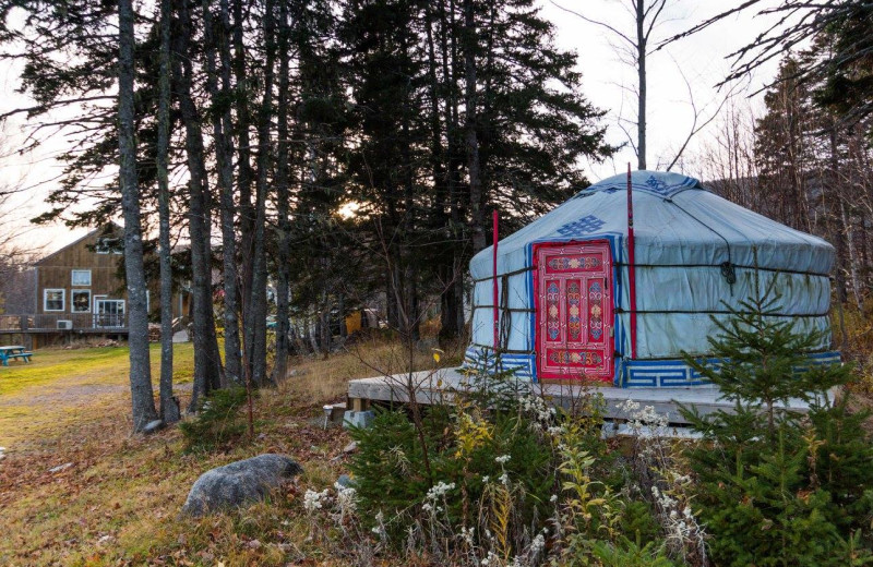 Yurt exterior at Cabot Shores Wilderness Resort.