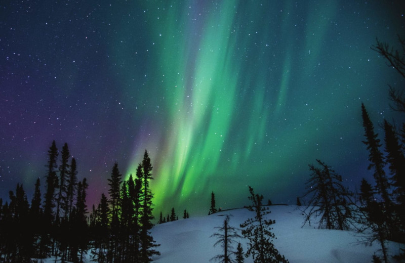 Northern lights at Bakers Narrows Lodge.