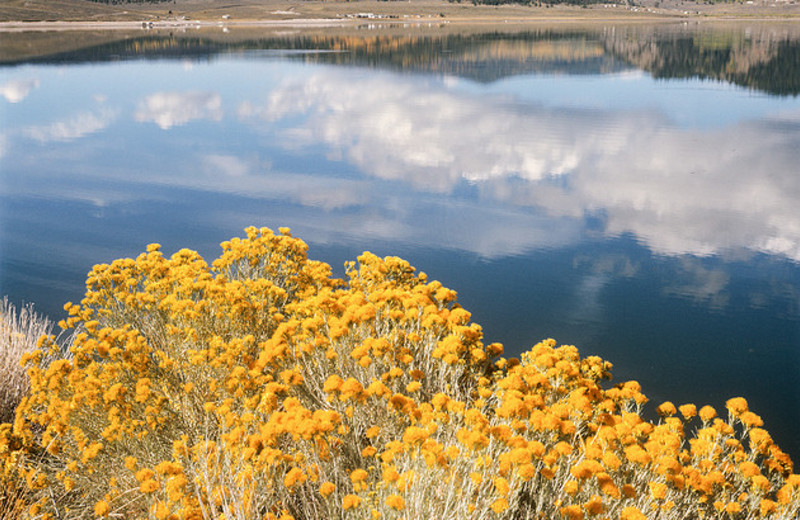 Lake view near Color Country Motel.