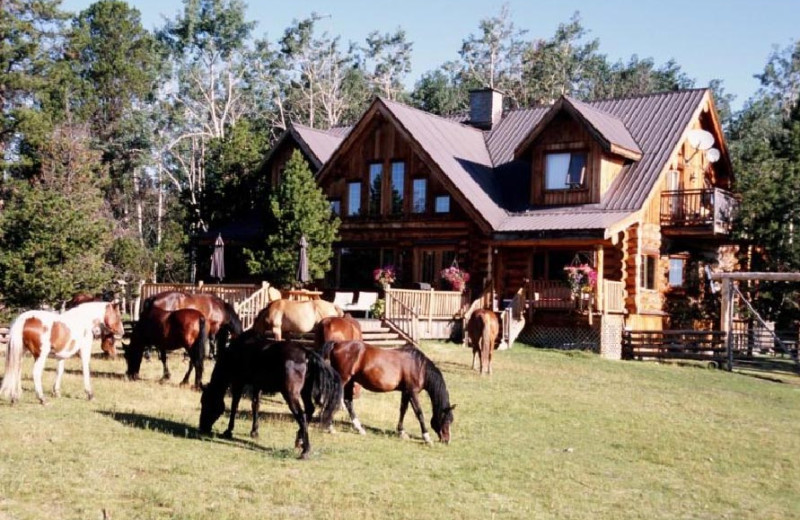 Exterior View of Siwash Lake Ranch