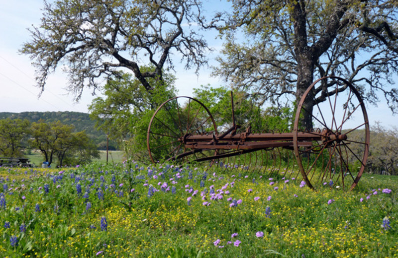 Grounds at West 1077 Guest Ranch.