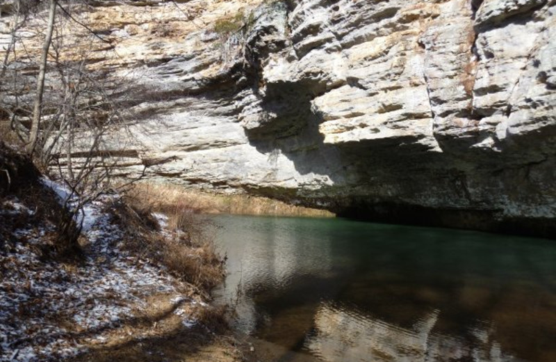 Beautiful scenery at Willowbrook Cabins.